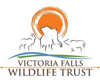 Consilium Escapes Signatory & Supporter of the Victoria Falls Wildlife Trust Zimbabwe